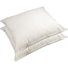 Hoofdkussen luxus set van 2 stuks